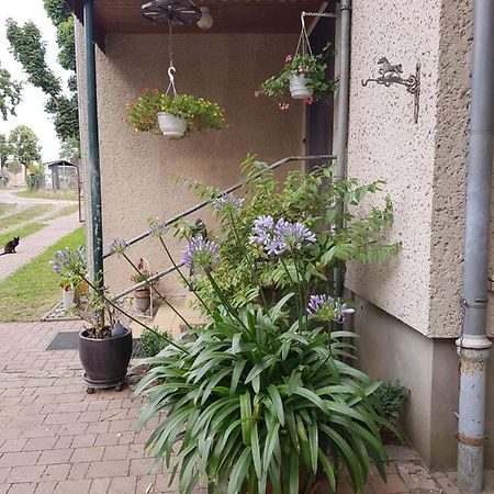 Ferienwohnung Siebmann Neuruppin Exterior foto