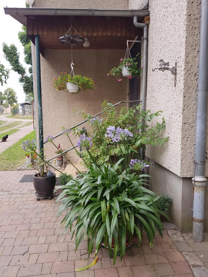 Ferienwohnung Siebmann Neuruppin Exterior foto